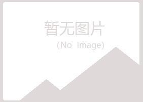 铜官山区夏日机械有限公司